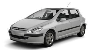 Picture of Peugeot 307 